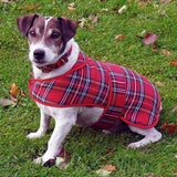 Tartan Dog Coat