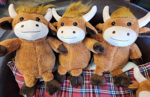 Glen Appin Highland Cow
