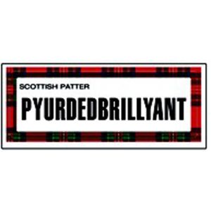 Pyurdedbrillyant Magnet