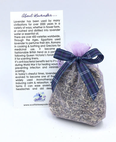 Scottish Lavender