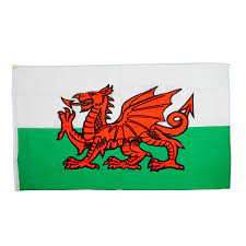 Wales Flag 5X3