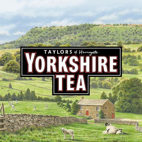 Yorkshire Tea  100 tea bags